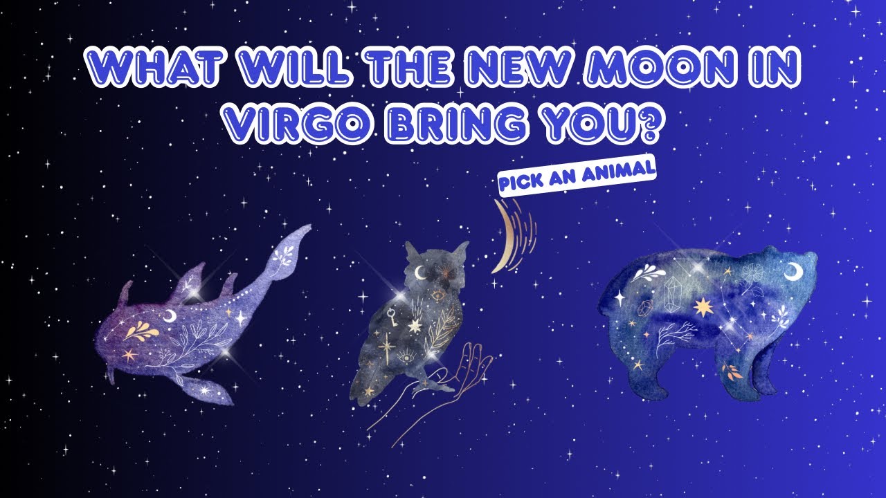 WHAT WILL THE NEW MOON IN VIRGO BRING YOU? 🔮 🌙  ✨ | PICK AN ANIMAL TAROT READING