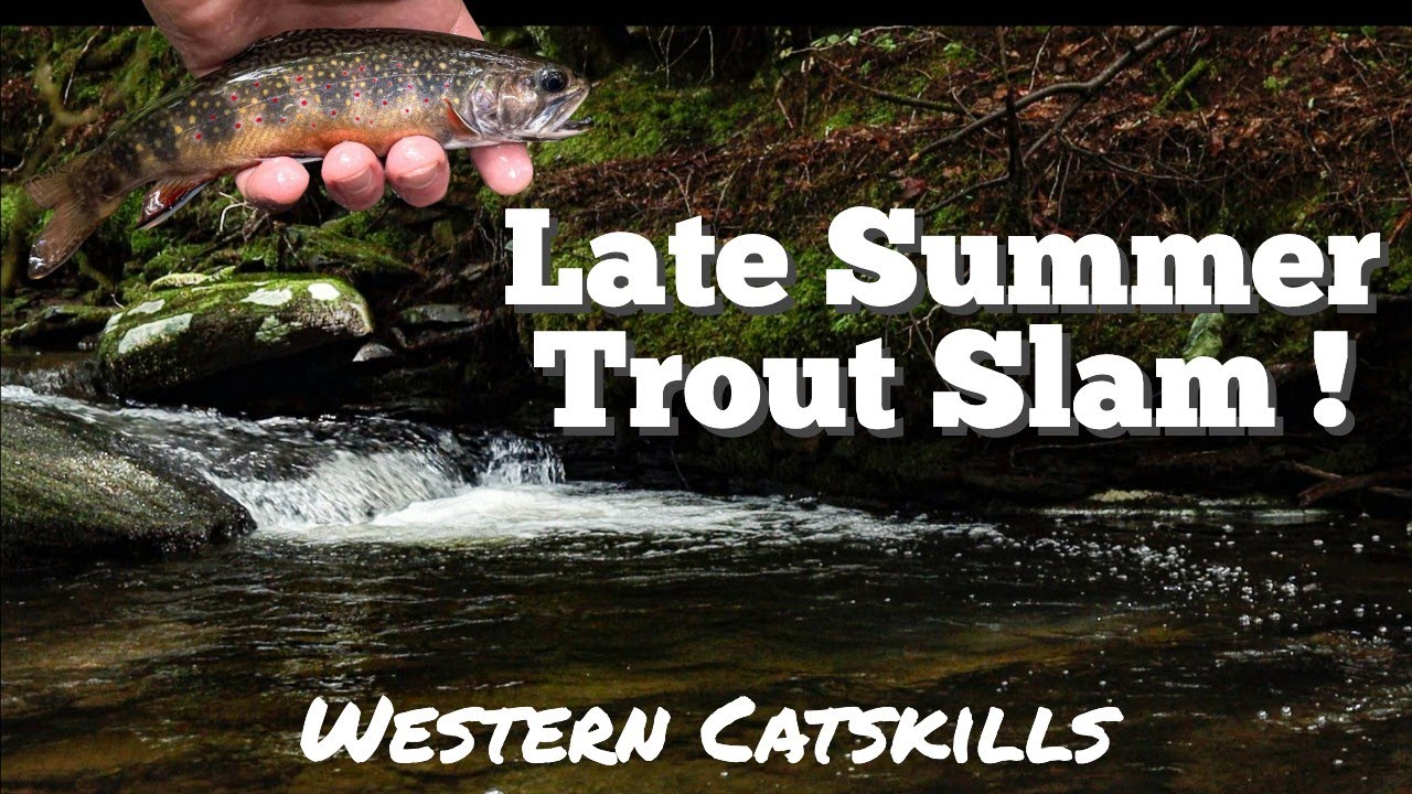 Wild Trout Slam!! / Fly Fishing the Western Catskill Mtns, NY