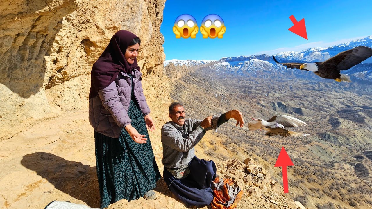 Exciting and hard trip of Alborz and Touba in the Zagros Mountains and rescuing a wounded pigeon