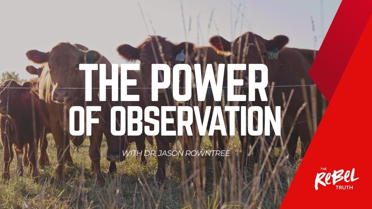 The Science Behind Regenerative Agriculture with Dr. Jason Rowntree