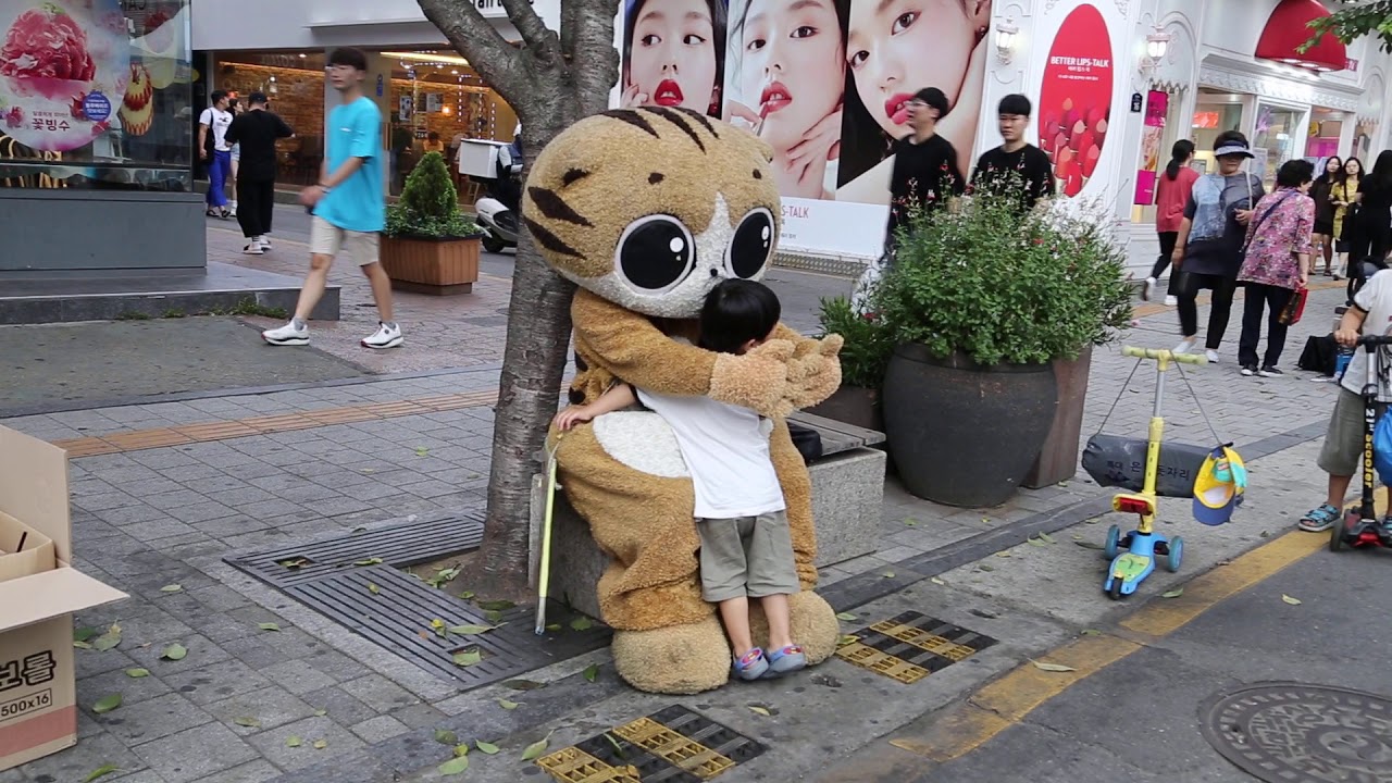 JHKTV] 신촌 명물고양이 와 어린이shin chon spercial cat &child