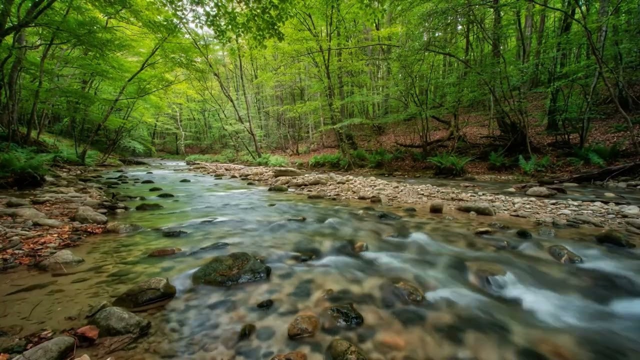 8 HOURS of Deep RELIEF Music​MELTS Stress & Anxiety Away (Ultimate Alpha Waves) FINALLY, Peace.30
