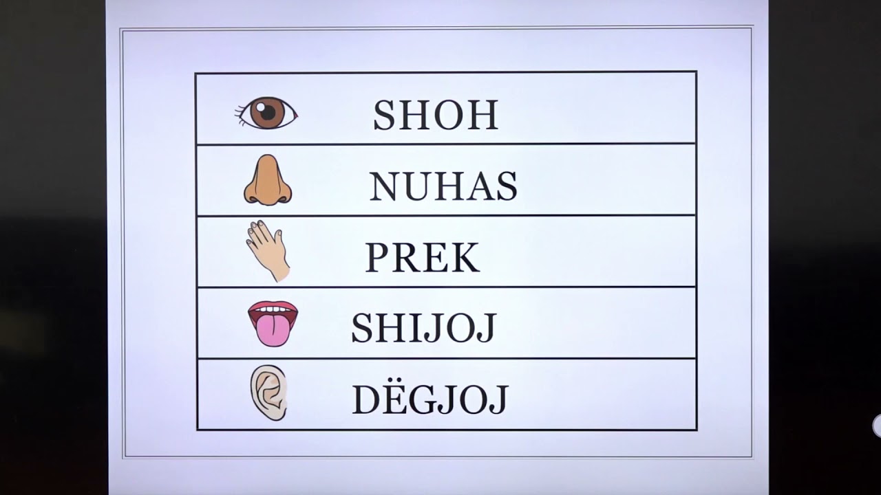5 04 003 - Java 2 - Njeriu dhe natyra - shqisat