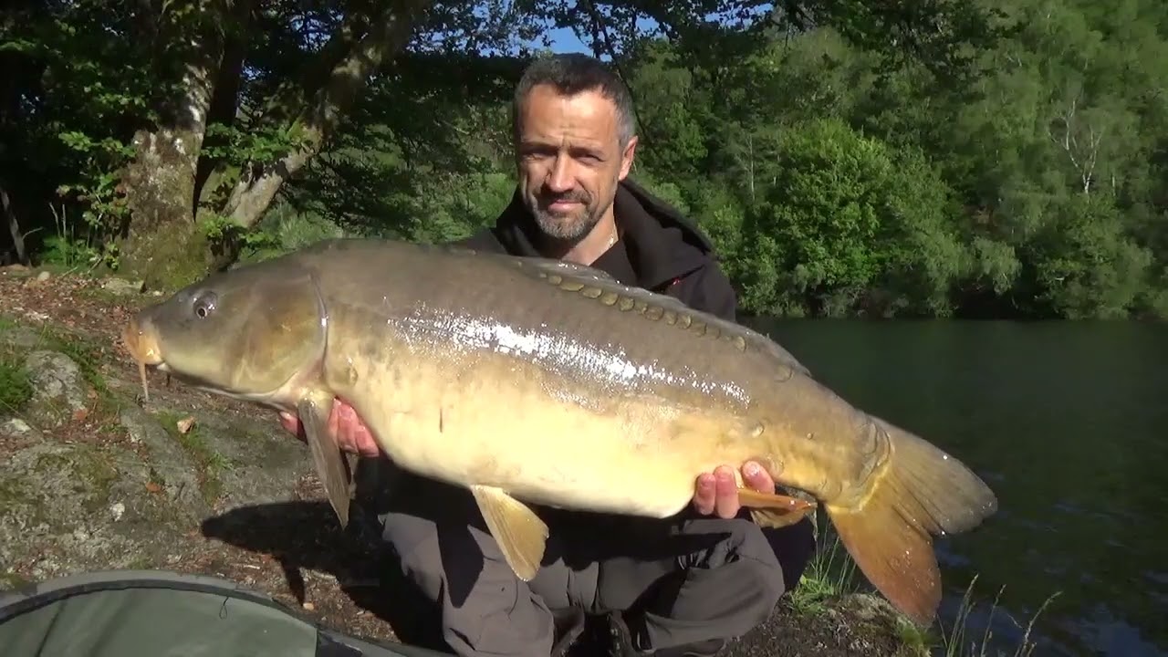 Session carpe en barrage - juin 2024
