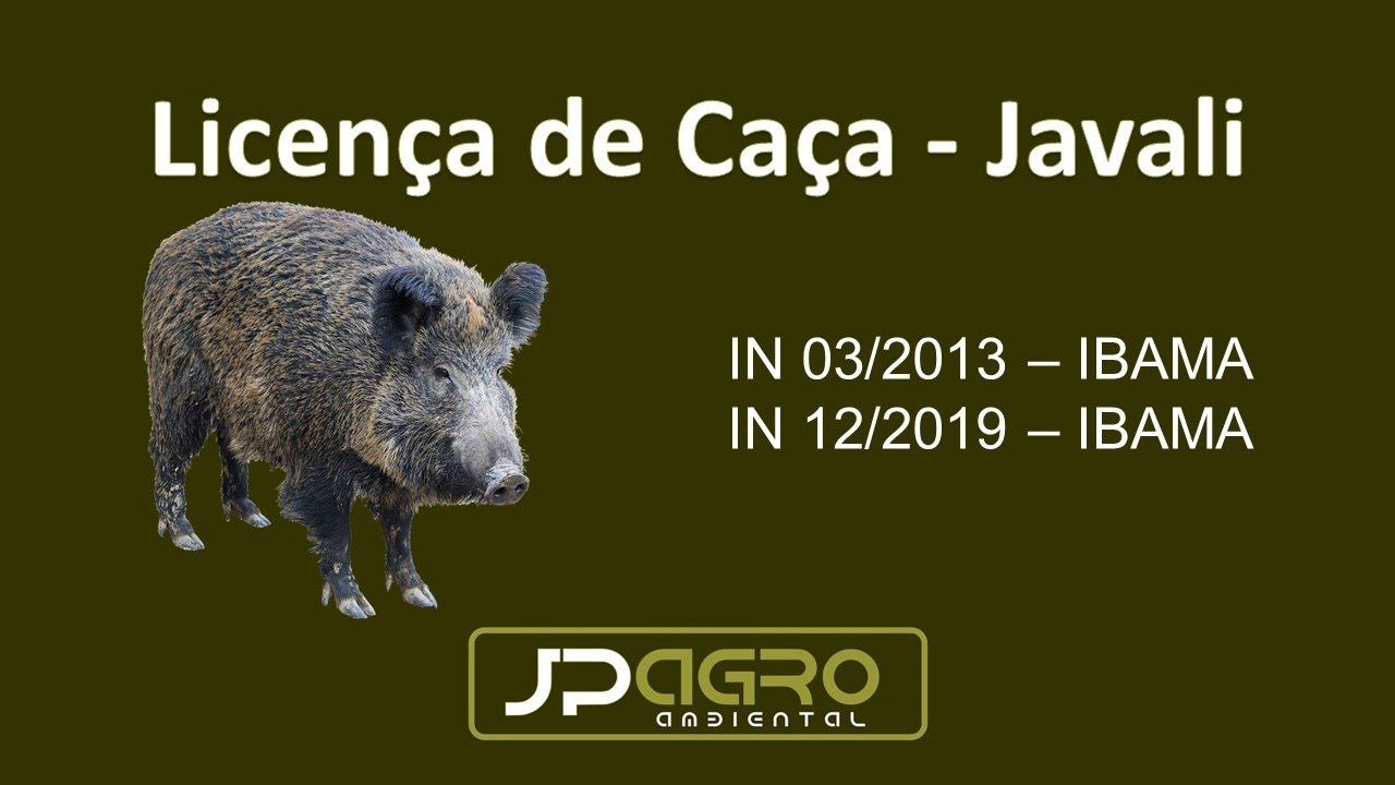 Licença de Caça de Javali