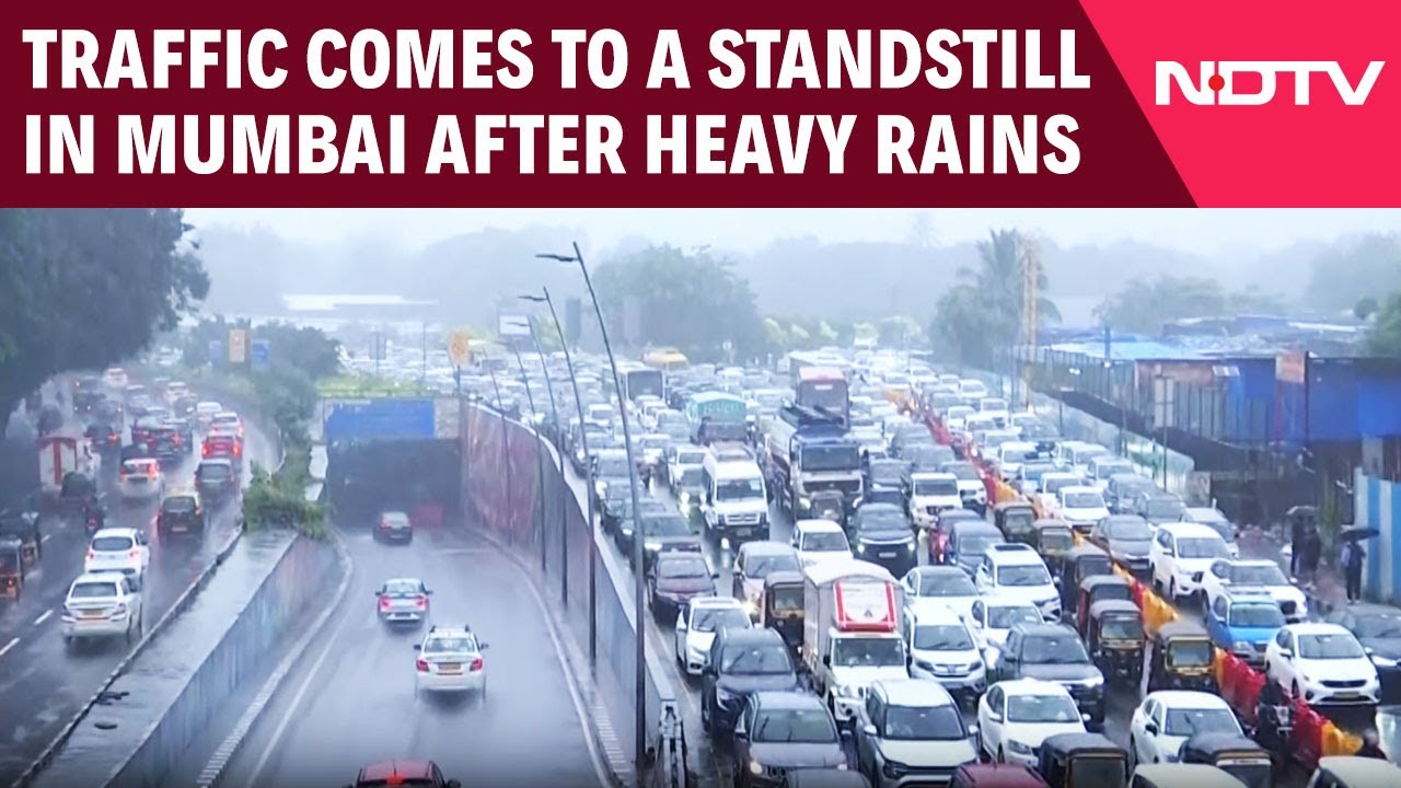 Mumbai Rain News | Traffic Movement Slows Down On Express Highway Due To Heavy Rainfall In Mumbai