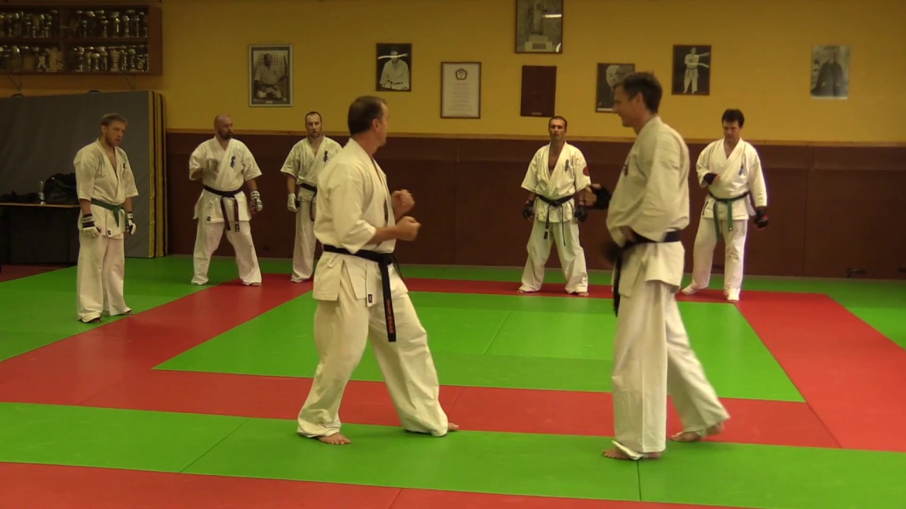 Kyokushin Karate Camp Hayange-2016