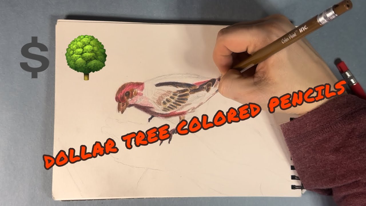 Reviewing INC Color Point Colored Pencils