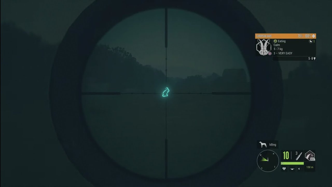 The Hunter COTW Cuatro Colinas Hunting Diamond European Hare With Virant .22