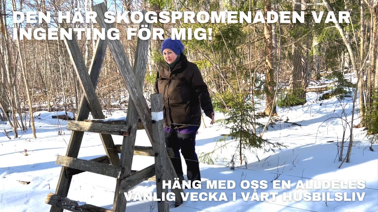 Hur är vardagen när man bor på heltid i en husbil? | Och varför ser jag så besvärad ut?