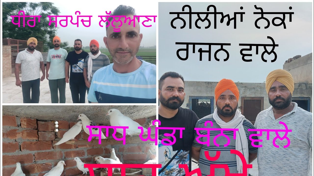 ਧੀਰਾ ਸਰਪੰਚ ਲੱਲੂਆਣਾ ਫੁੱਲ ਇੰਟਰਵਿਊ। ਪਹਿਲੀ ਵਾਰ ਆਪਣੇ ਕਬੂਤਰਾਂ ਨਾਲ ।