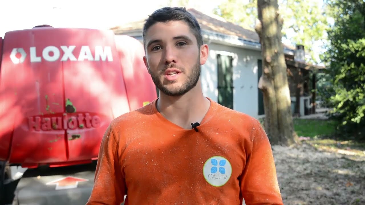 Elagage avec nacelle