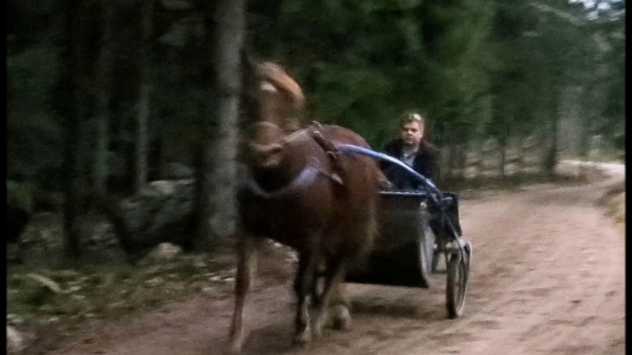 JUOKSE SINÄ HUMMA, Henry Theel ja Melody-orkesteri v.1954