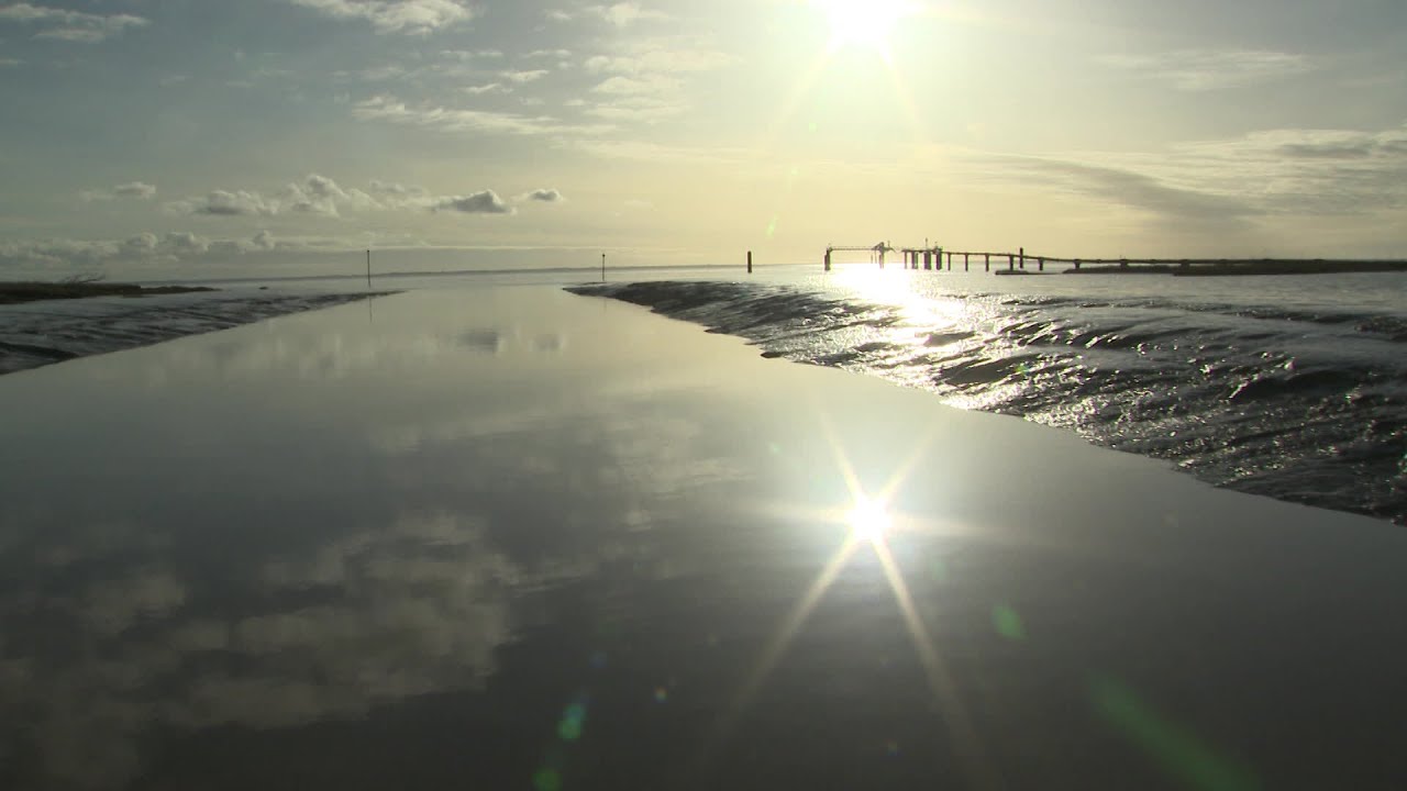 Prendre l'air sur l'estuaire de la Gironde à Barzan