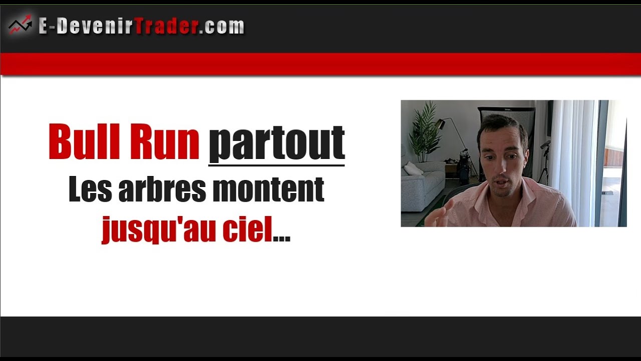 Bull Run partout - Quand les arbres montent jusqu'au ciel...