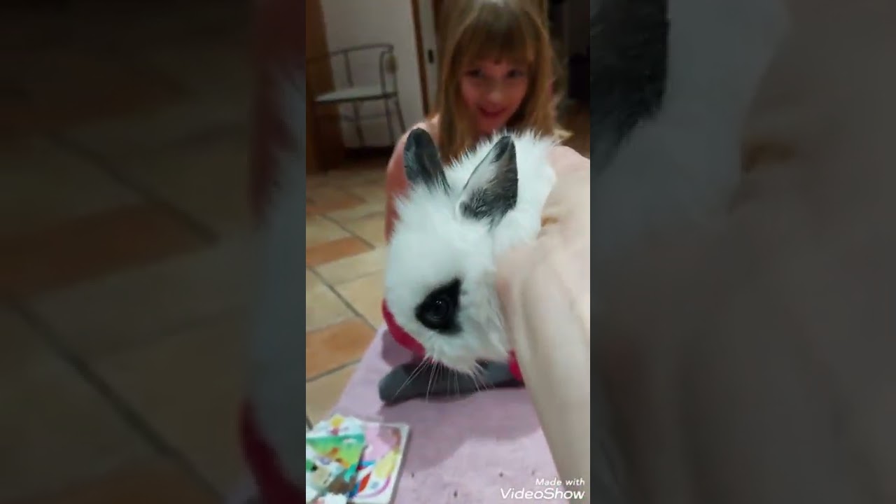 CUCCIOLATA NANI MINI TOY 🍼🍼🍼