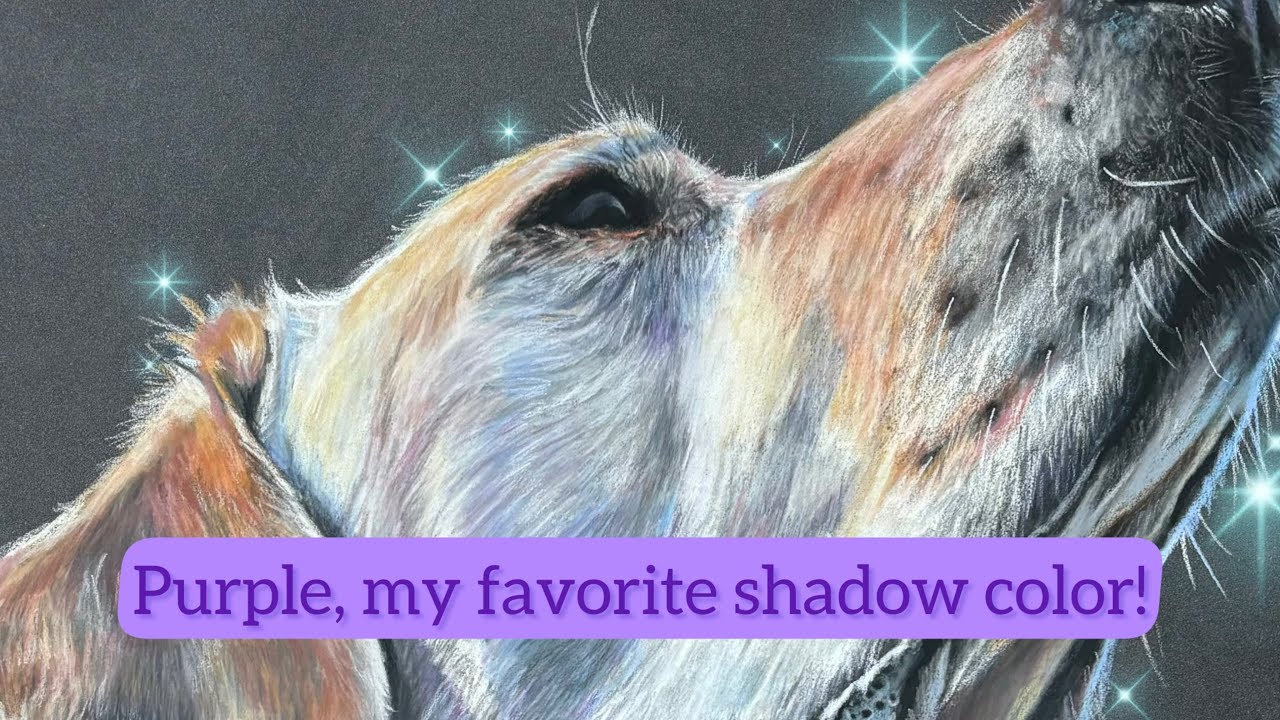 Dog Portrait Drawing Process , Yellow Labrador (ASMR Art)