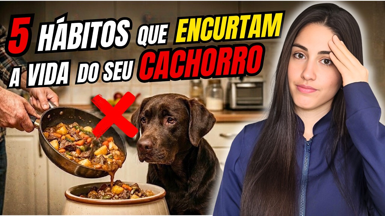 Você Comente o Erro 3? 5 hábitos que encurtam a vida do seu cachorro