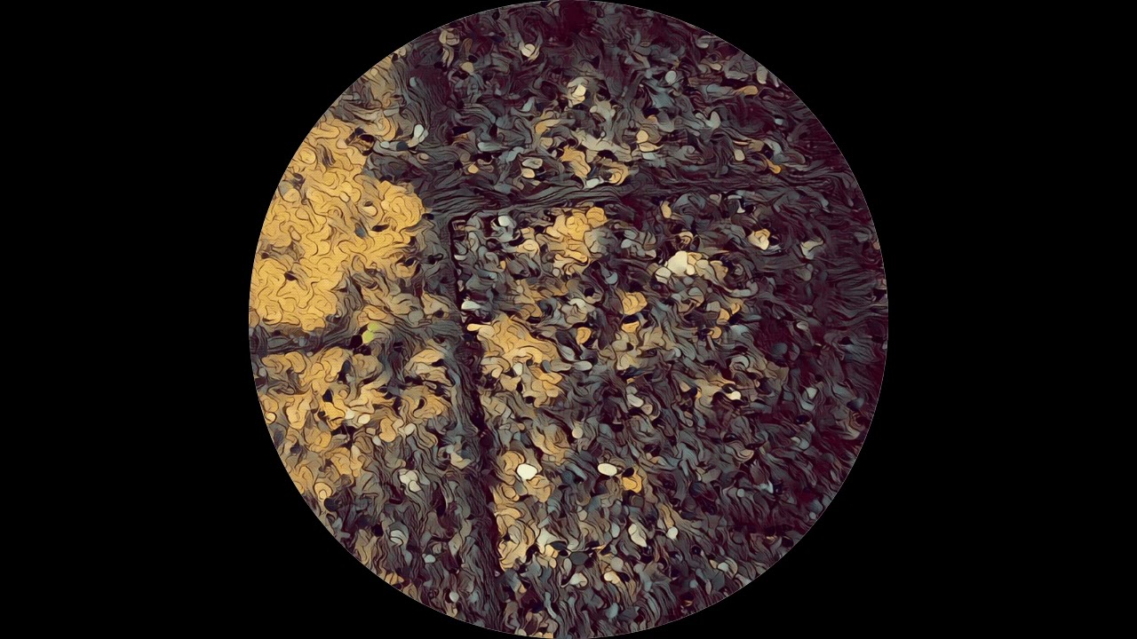 Caesar - Zăplazuri