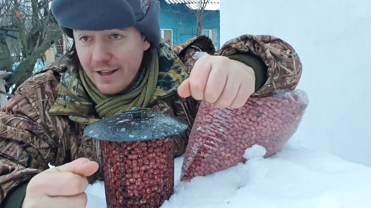 Сетчатая кормушка для птиц – размер ячейки
