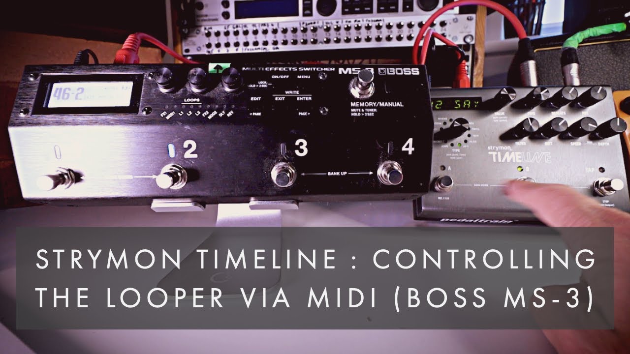 Strymon Timeline : Controlling the looper via midi (Boss MS-3)
