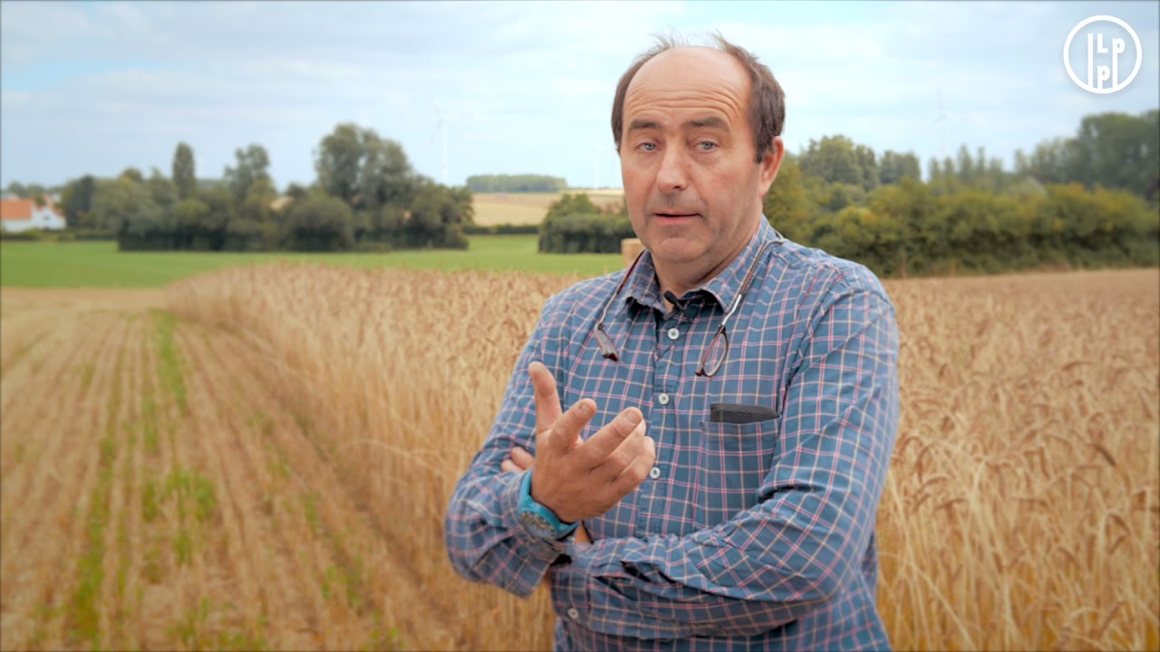 Pourquoi cultiver du bl&eacute; en bio ?