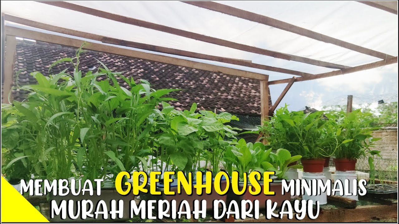 Cara Membuat Green House Mini Sederhana & Murah Dari Kayu