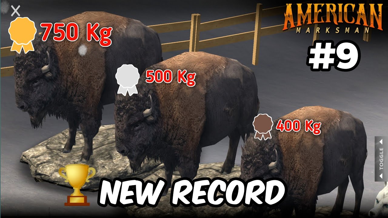 🏆 REKOR!!! Bison Terbesar - American Marksman Gameplay Indonesia