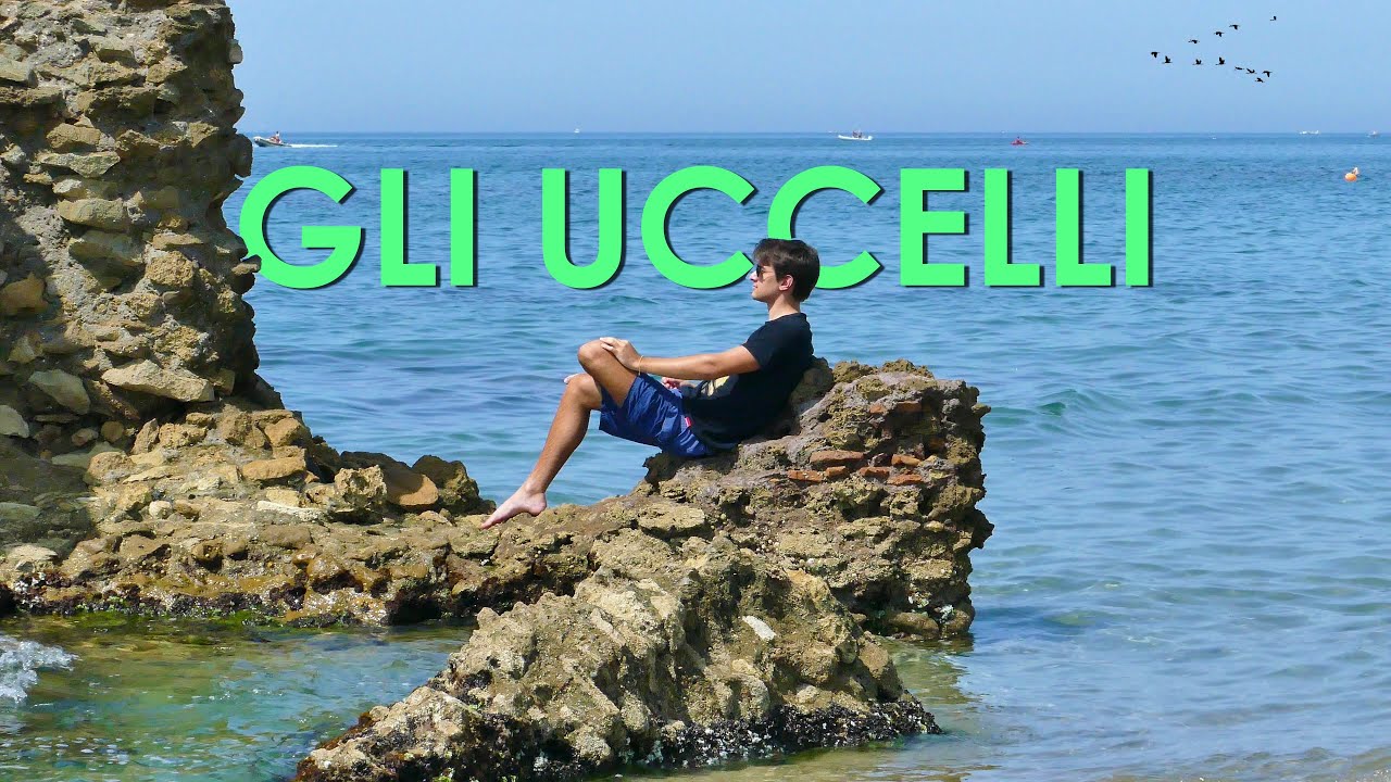 Dualismo Asintotico - Gli Uccelli (Franco Battiato cover)