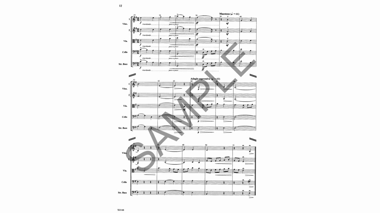 Jeffrey S. Bishop - Symphony for Strings No 1 (Score)