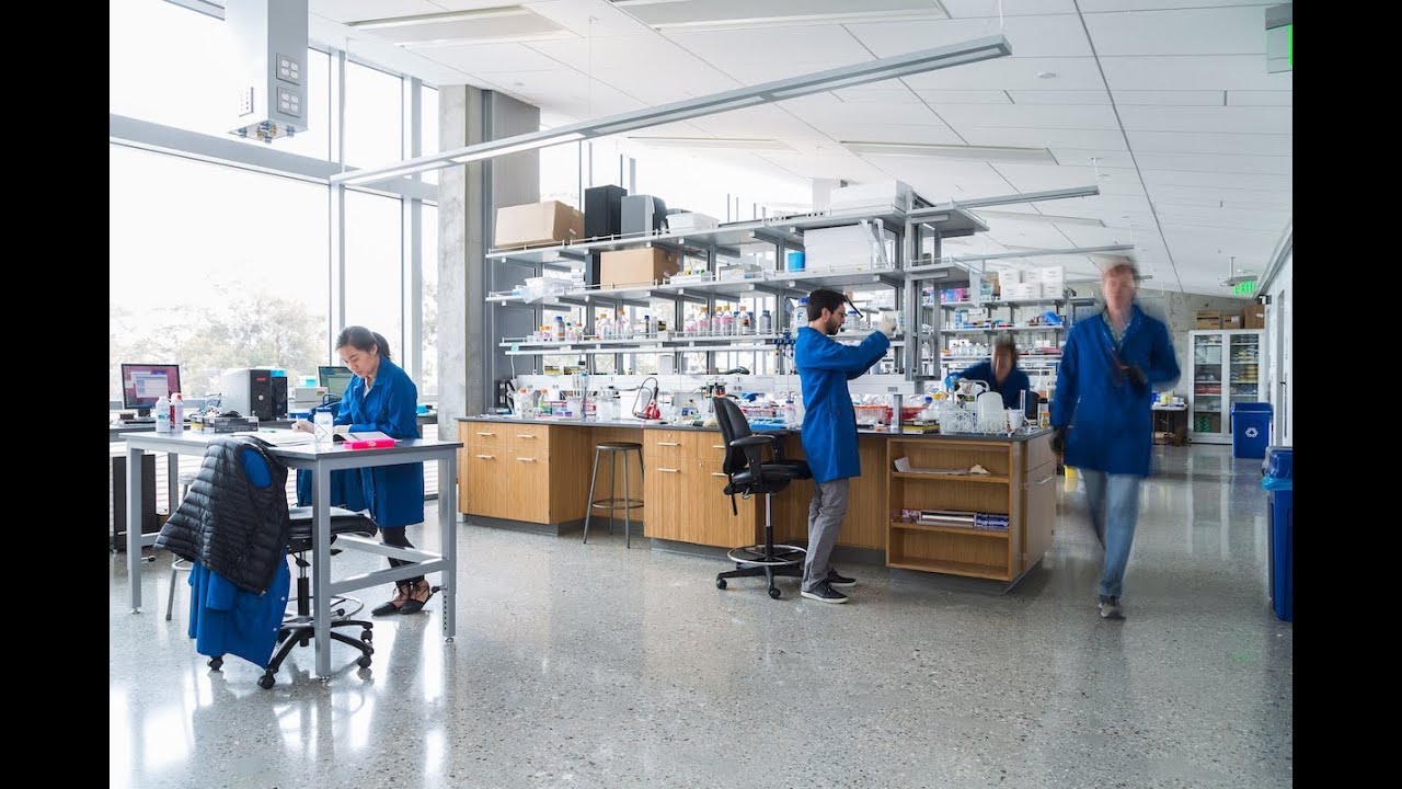 Training Tomorrow's Leaders Today: UC Santa Barbara's Bioengineering Department's PhD Program