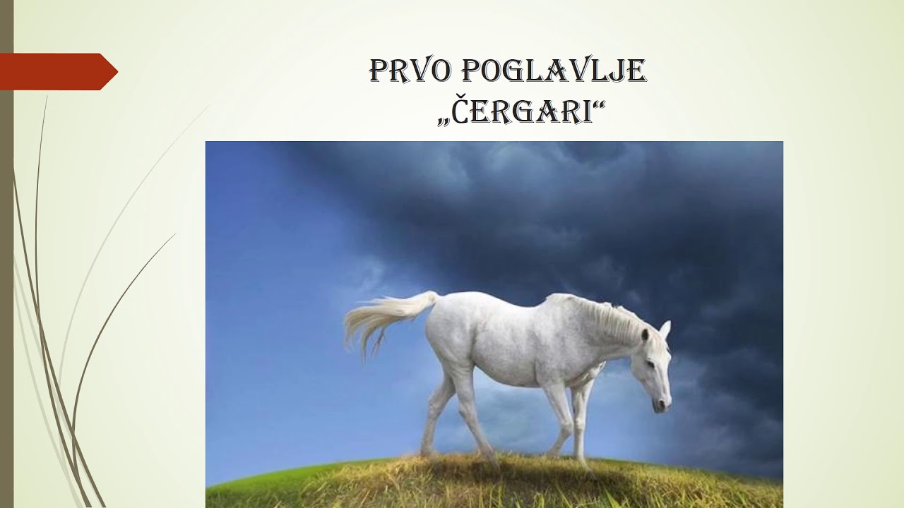 Roman „Bijela Griva, Prvo poglavlje, ČETVRTI RAZRED, 23.3.2020.