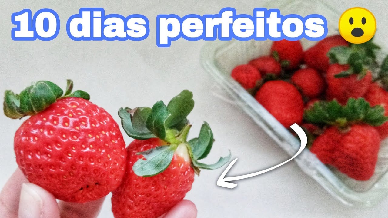 COMO CONSERVAR MORANGOS - FICAM FRESCO POR MAIS TEMPO 🍓