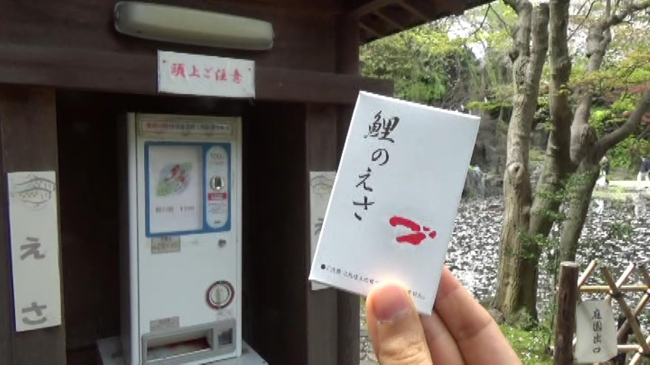 Carp Bait Vending Machine