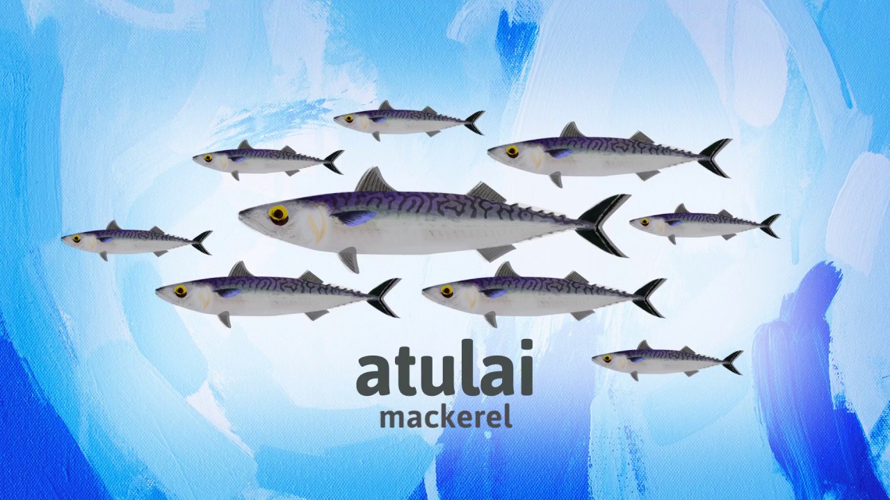 GUIHAN GUINI! - Nihi! Fishing Episode S1