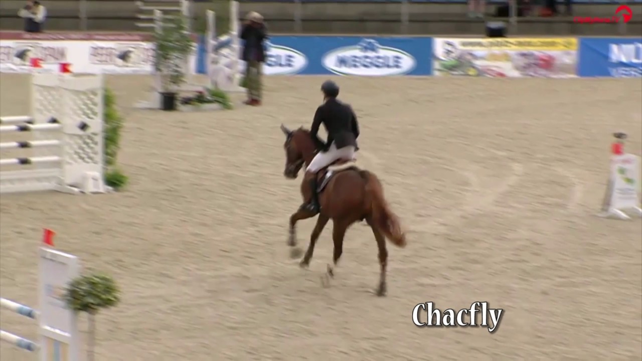 Chacfly - deutsch - 2017