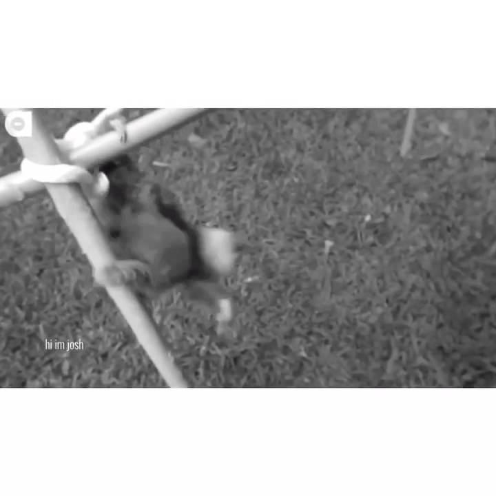 :'( - Vine by hi im josh