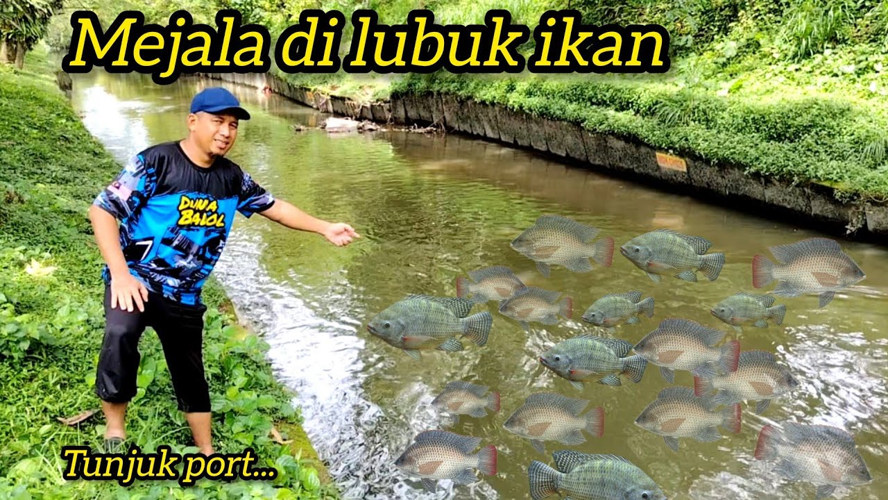 Menjala Di Tempat Yang Banyak Ikan #gengdunia