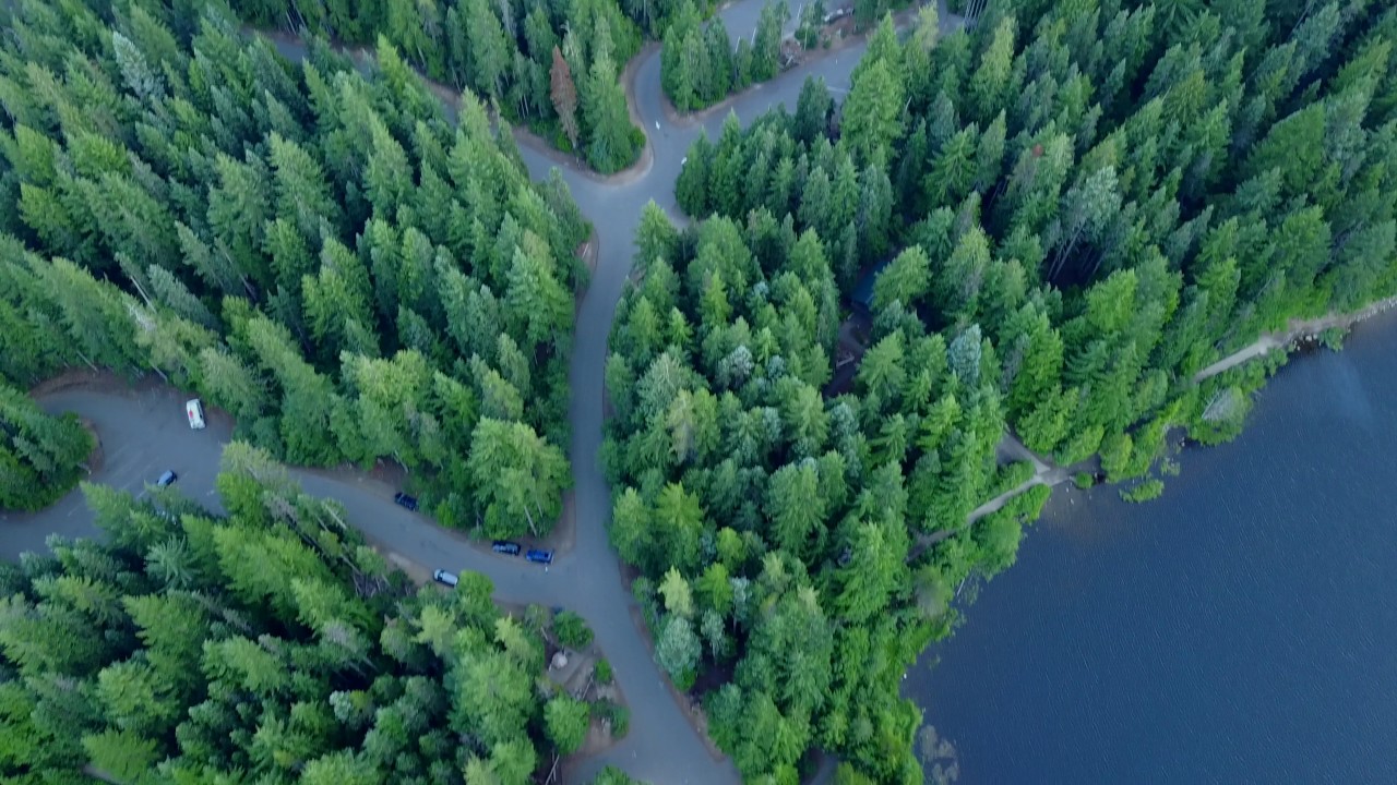 Wilderness - Mt Hood / Oregon 4K