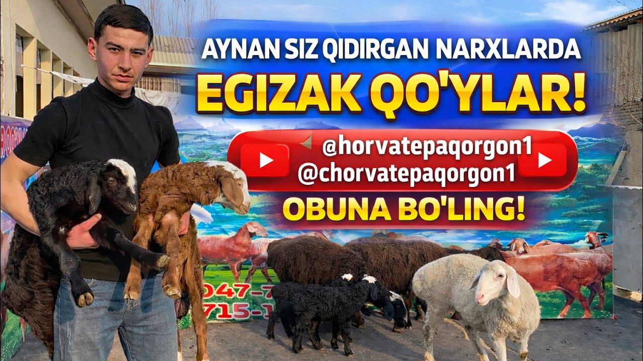 Sizningcha nega bunchalik arzon🧐