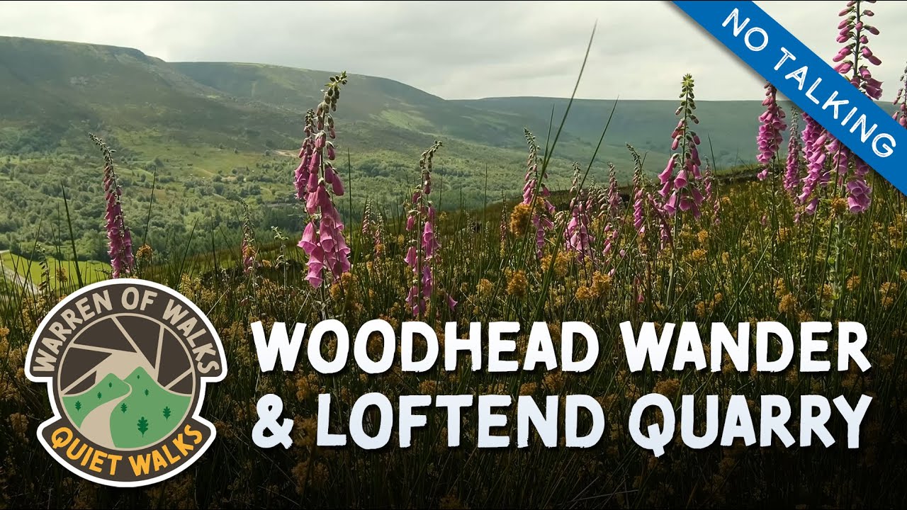 PEAK DISTRICT - Woodhead Wander & Loftend Quarry, Crowden ⛰️ Quiet Walks 🌳 Nature and Countryside 🐑