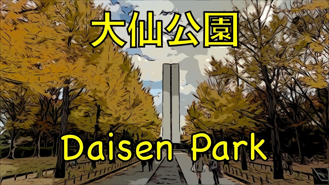 Japan Kansai Osaka Sakai Daises Park Autumn Fall Foliage Yellow Ginkgo Beautiful Best Time to See