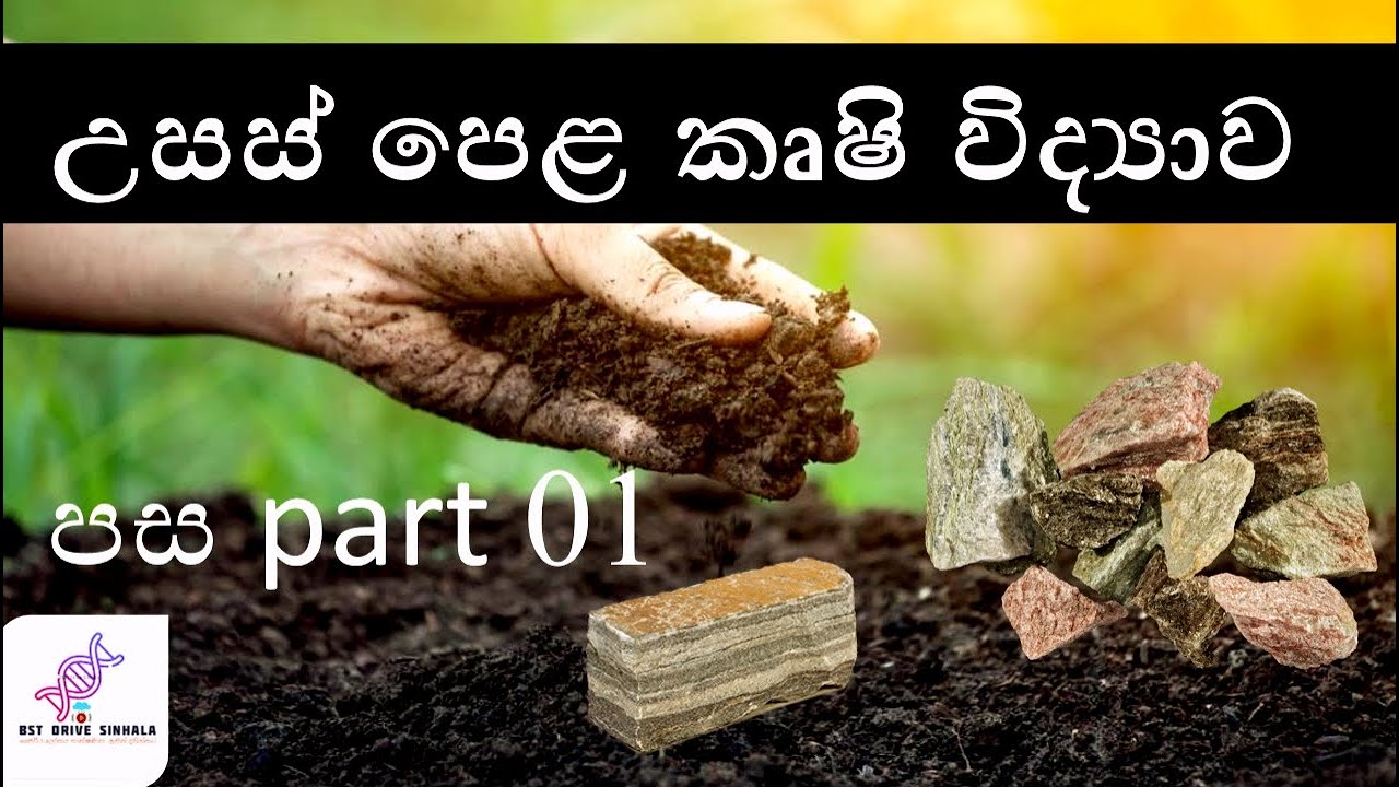 පස part 01| agri science |A/L|agriculture|a/l agri science sinhala|a/l agriculture sinhala