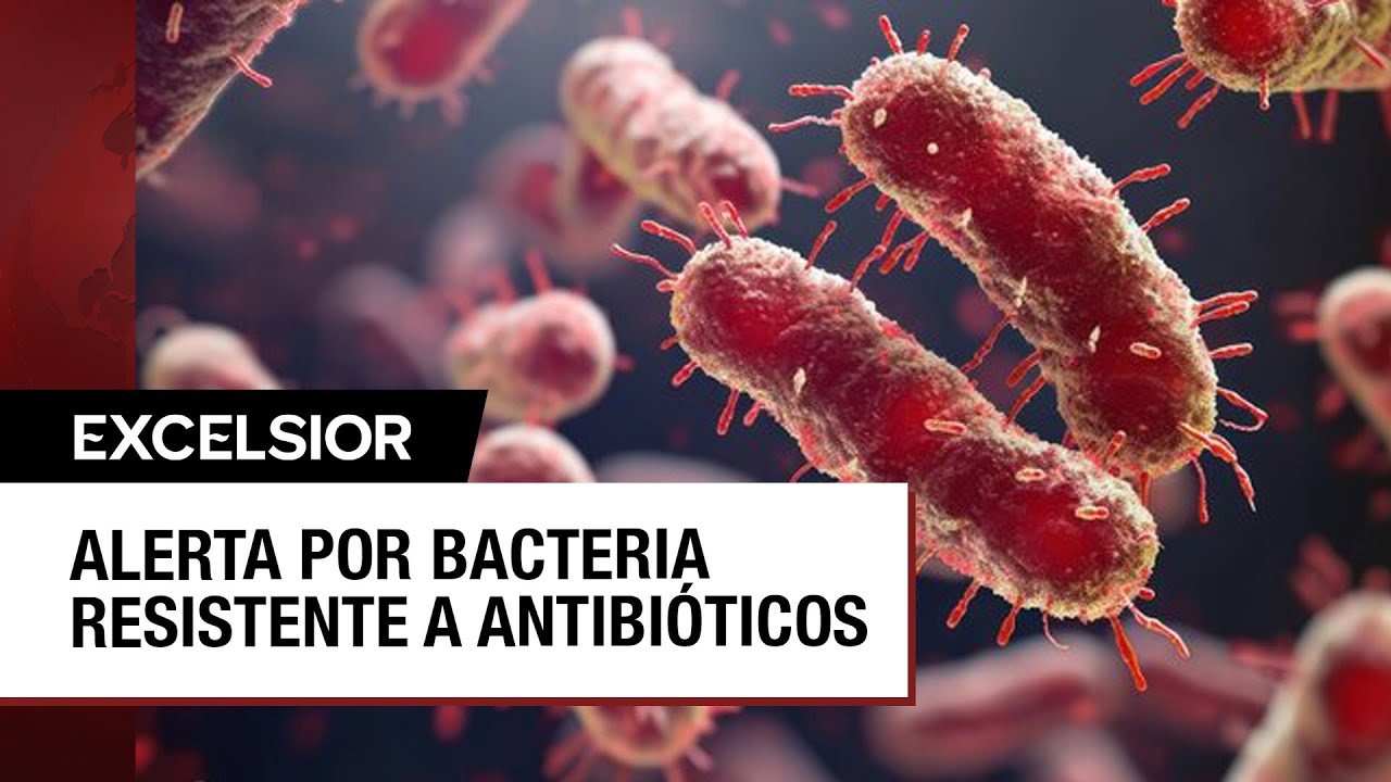 ¿Qué es la klebsiella oxytoca, la bacteria detectada en hospitales del Edomex?