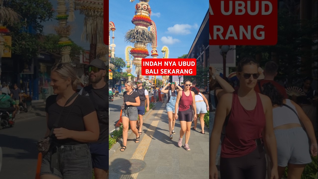 Indahnya Ubud Hari ini #bali #infobali #trending #ubud