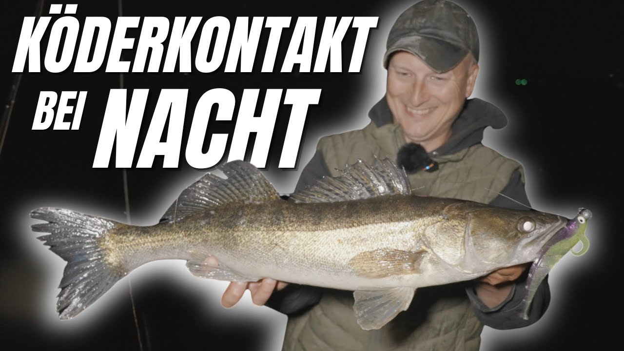 DESWEGEN Nachts mit Gummi auf Zander!