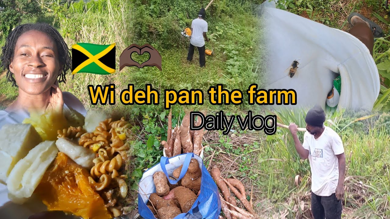 DAILY vlog 🇯🇲 Jamaican lifestyle || Look what  we got on our farm 😃🥳 + plant peas with me 