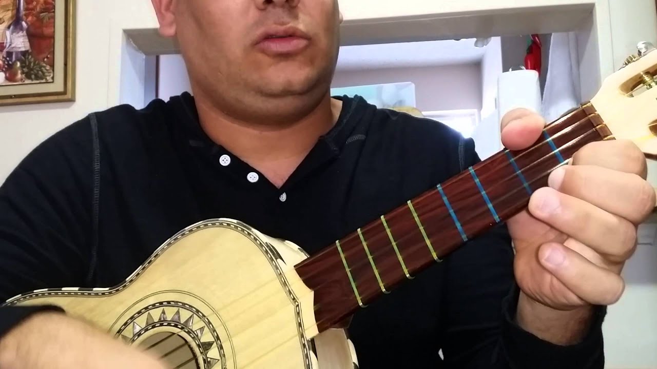 Viva Veracruz 3 (Vihuela Tutorial) Part 2