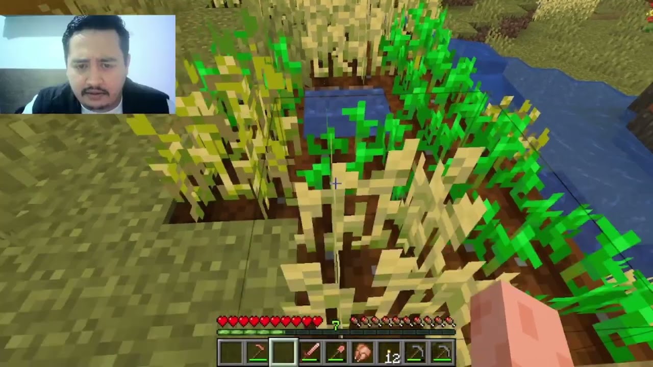 MINECRAF: mi mundo ideal cap. 3