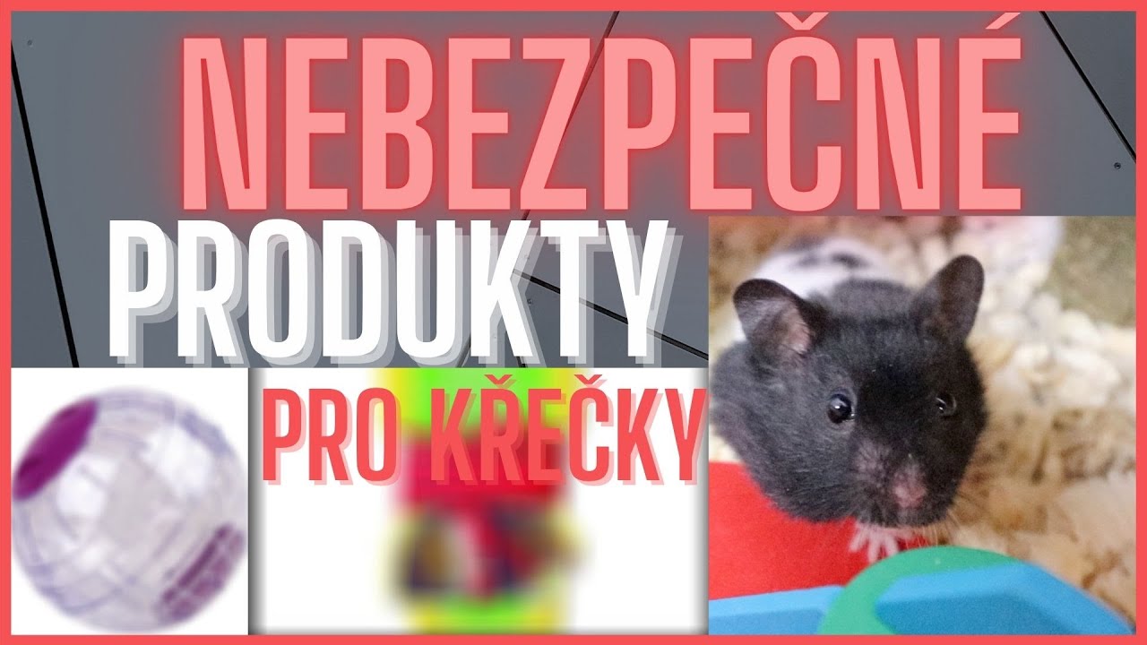 5 NEBEZPEČNÝCH věcí pro křečky!